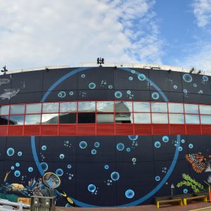 National Aquarium PANO